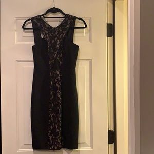 BCBG Dress